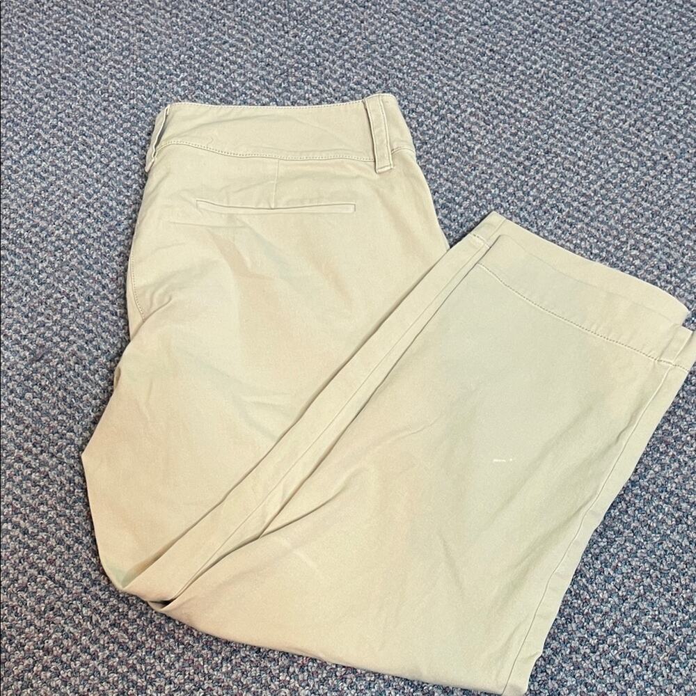 Eileen Fisher Khaki ankle pant 8